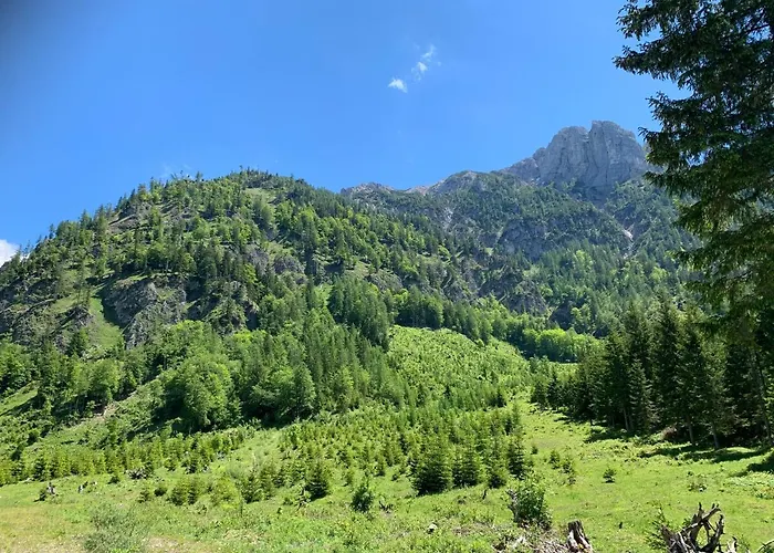 Appartement Kumitzblick